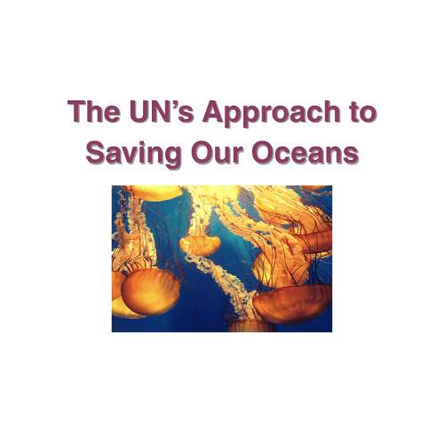 The UN's approach to saving our oceans 