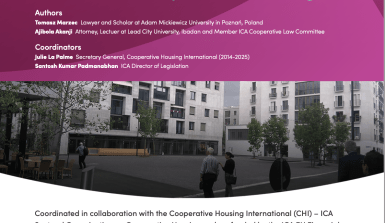 Front page of the ILRAI - Housing